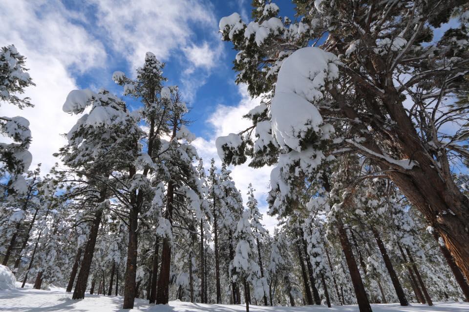 Sunny Skies! | Big Bear Cool Cabins